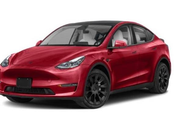 TESLA MODEL Y 2024 7SAYGDEE6RF113334 image